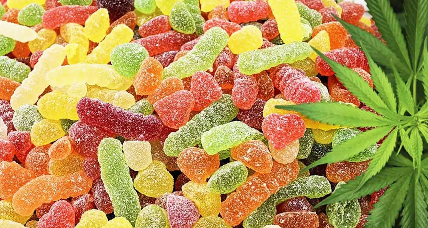 Trusted THC Infused Edibles EU – Cannabis Flower, Gummies & Vape Oil