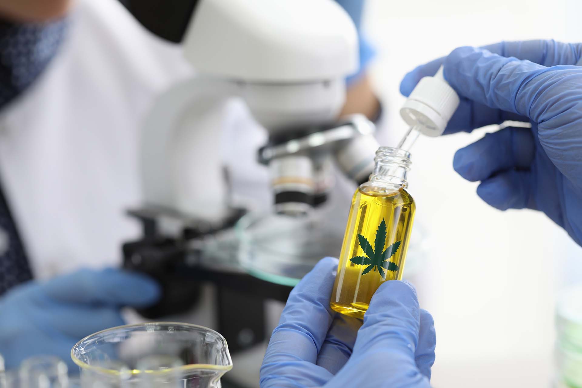 Enhance Research Accuracy – Buy Psychedelic Mushrooms & Magic Truffles