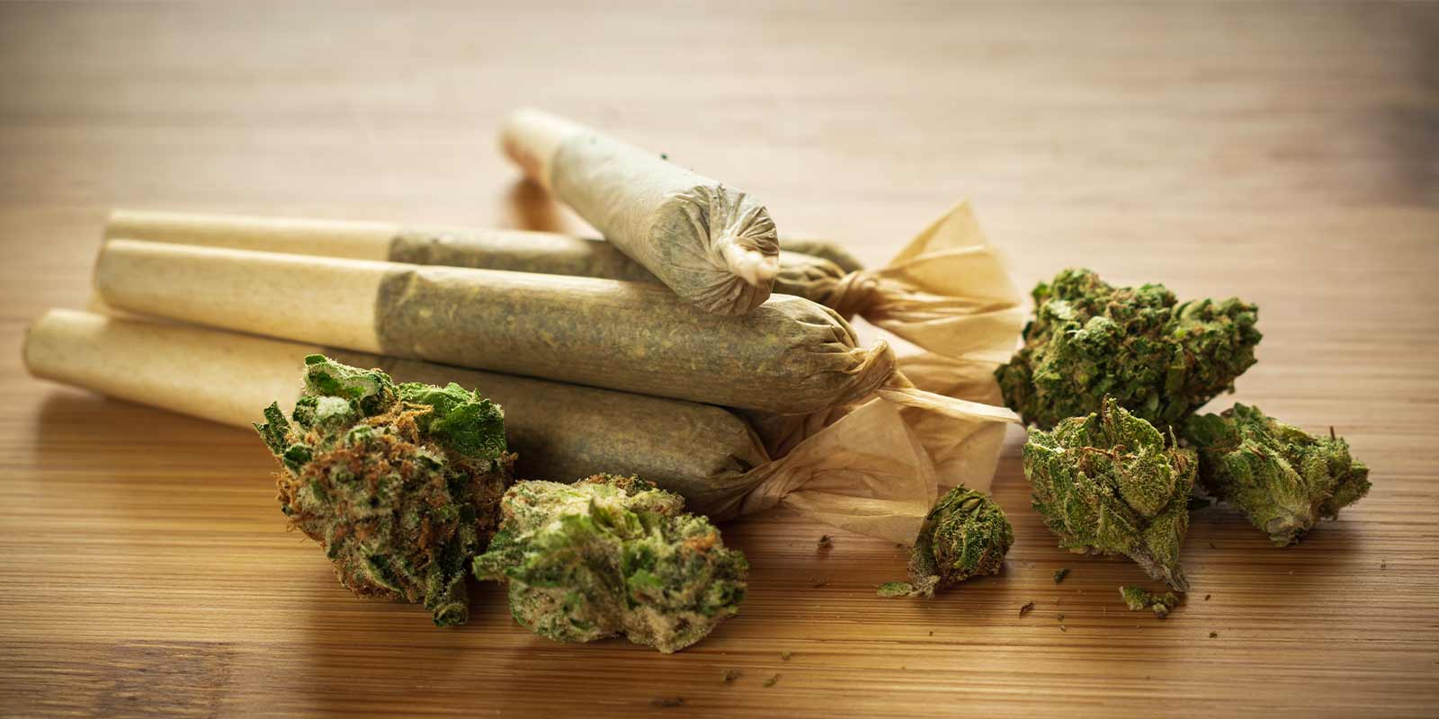 Premium Quality Rolls Guaranteed – Euro Cannabis Pre-Rolled Joints